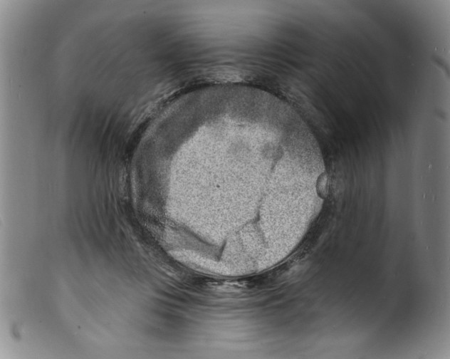 X0000098200359200805221547