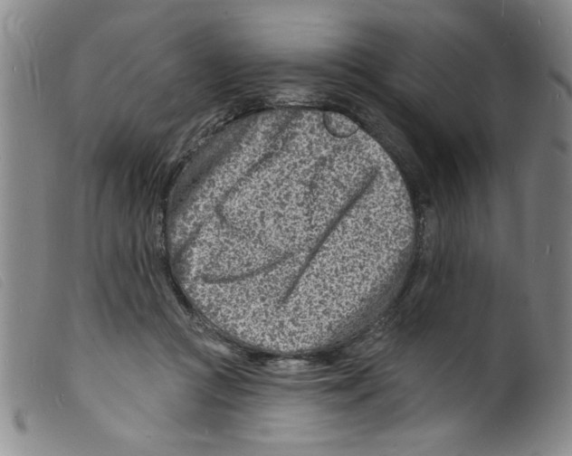 X0000098200361200805221547