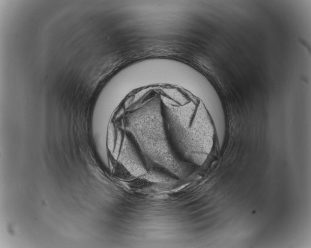 X0000098200362200805221547