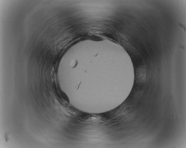 X0000098200364200805221547