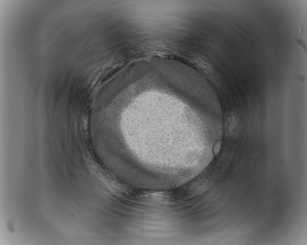 X0000098200365200805221547