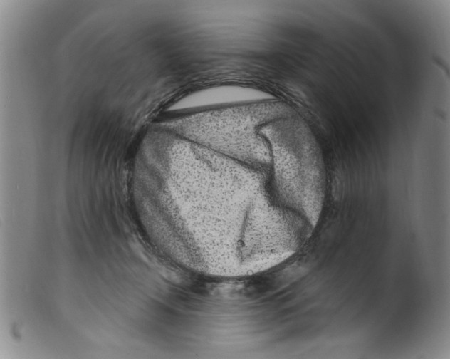 X0000098200366200805221547