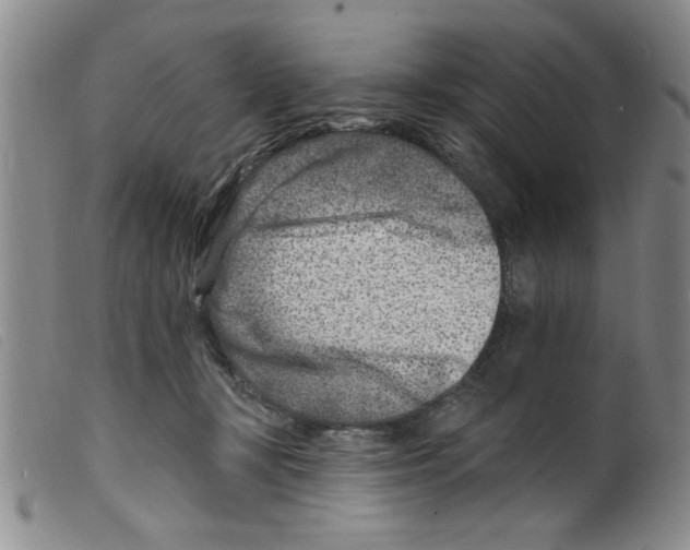 X0000098200367200805221547