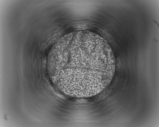 X0000098200369200805221547