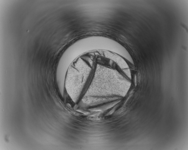 X0000098200370200805221547