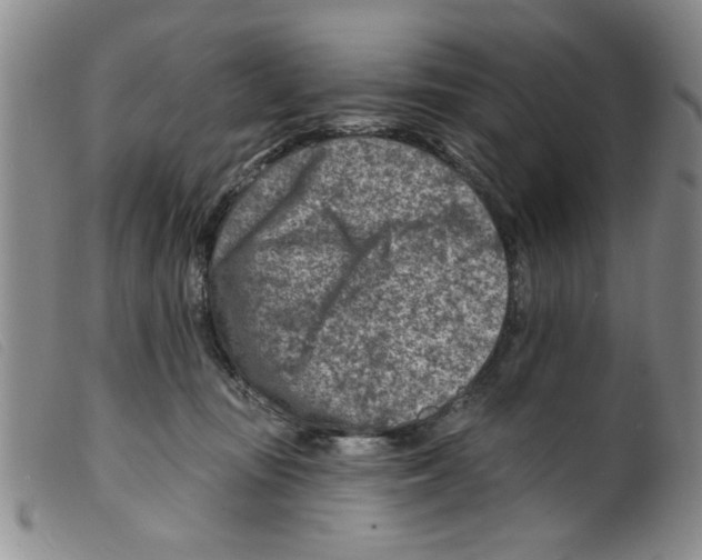 X0000098200371200805221547