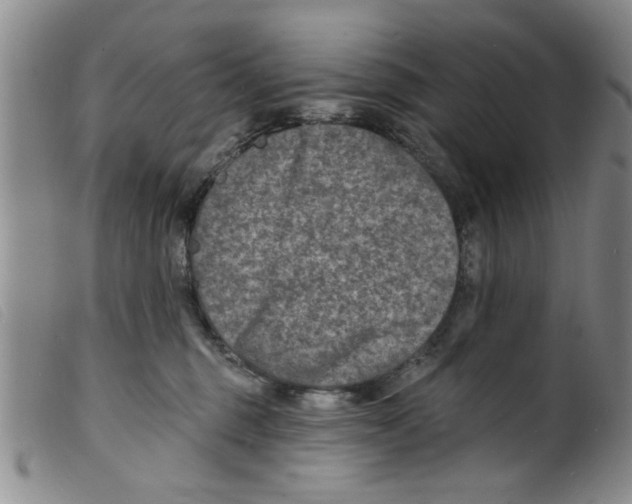 X0000098200375200805221547