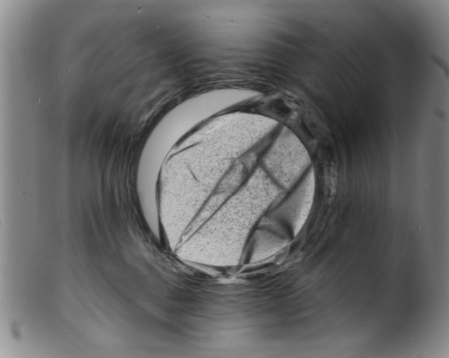 X0000098200376200805221547
