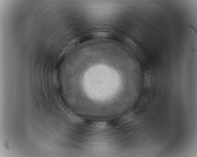 X0000098200377200805221547
