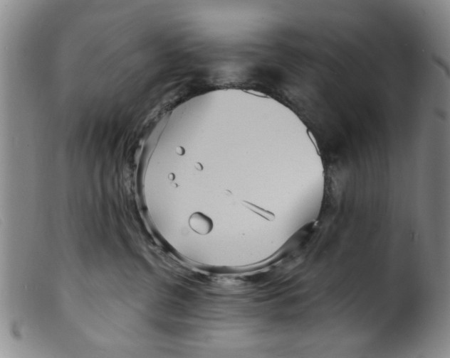 X0000098200380200805221547