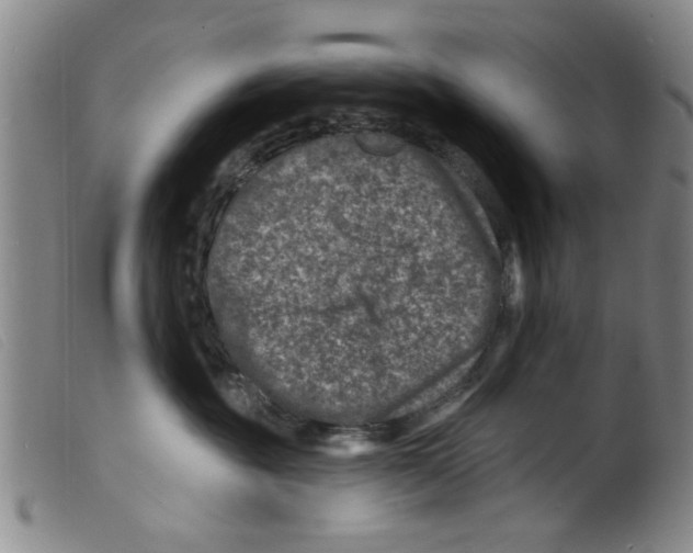 X0000098200381200805221547
