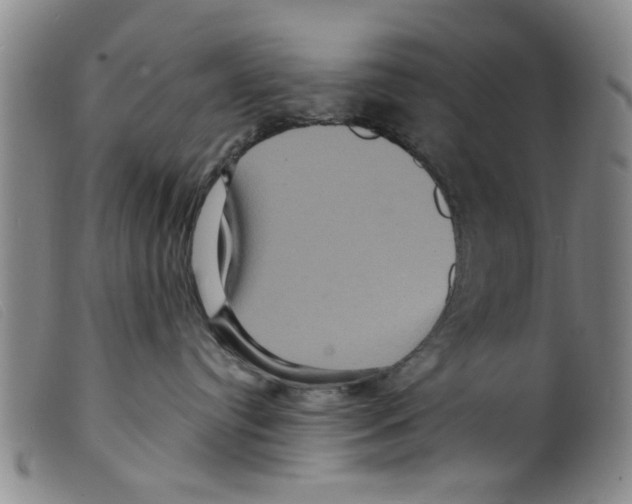 X0000098200384200805221547