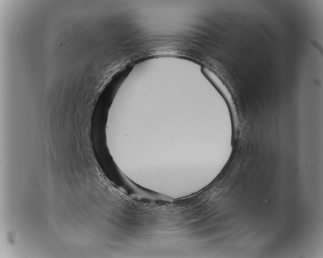 X0000098200385200805221546