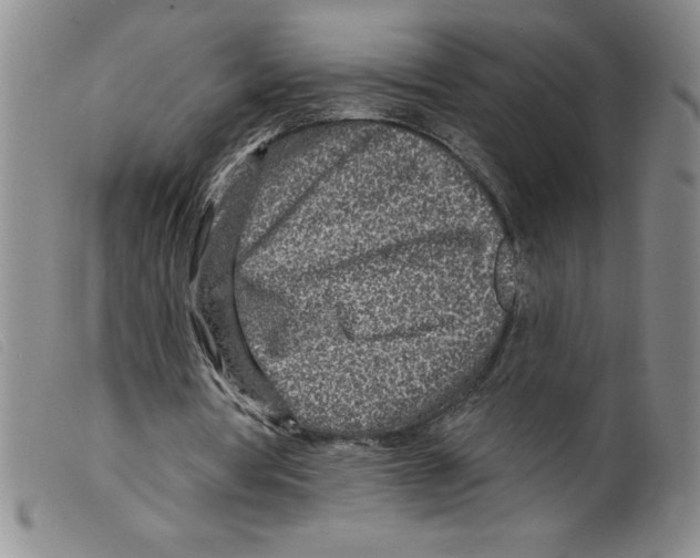 X0000098200386200805221546