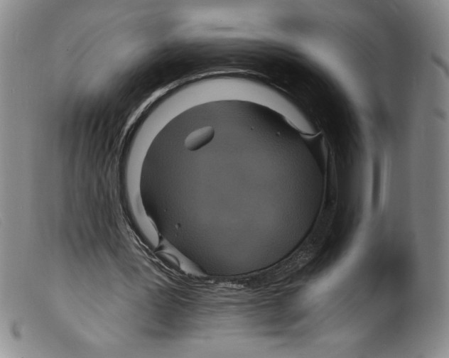 X0000098200387200805221546