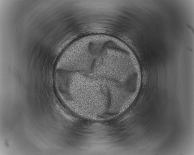 X0000098200390200805221546