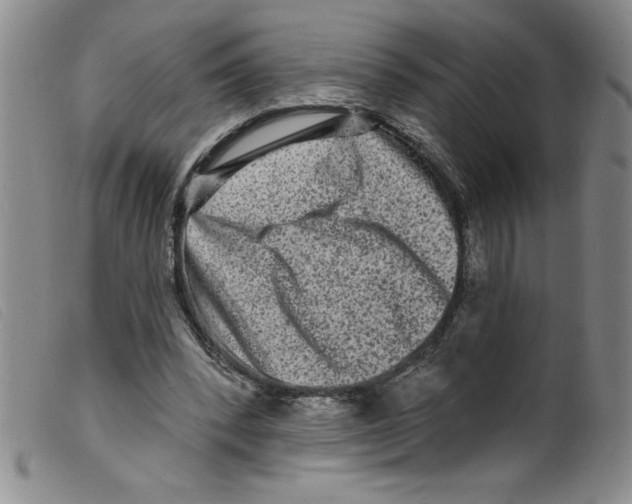 X0000098200392200805221546