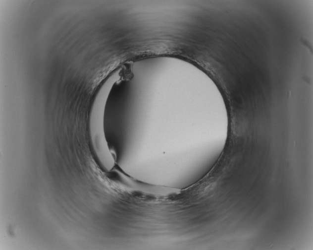 X0000098200393200805221546