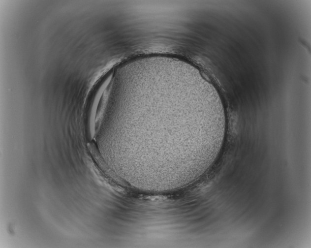 X0000098200395200805221546