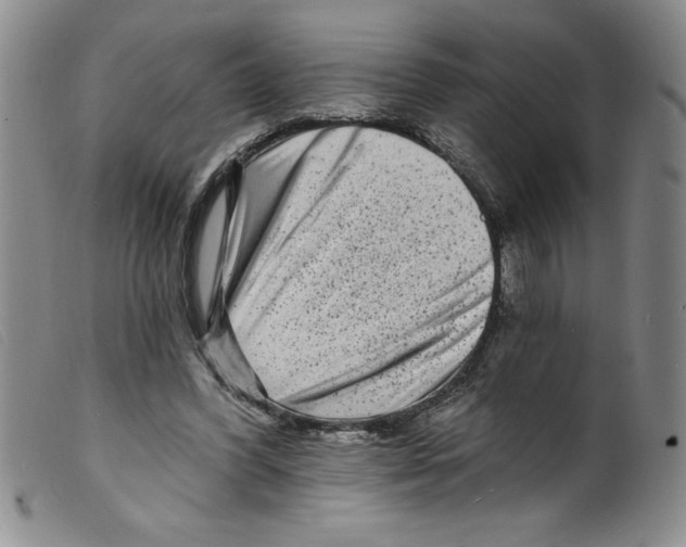 X0000098200396200805221546