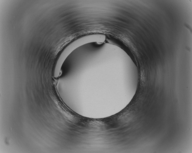 X0000098200397200805221546