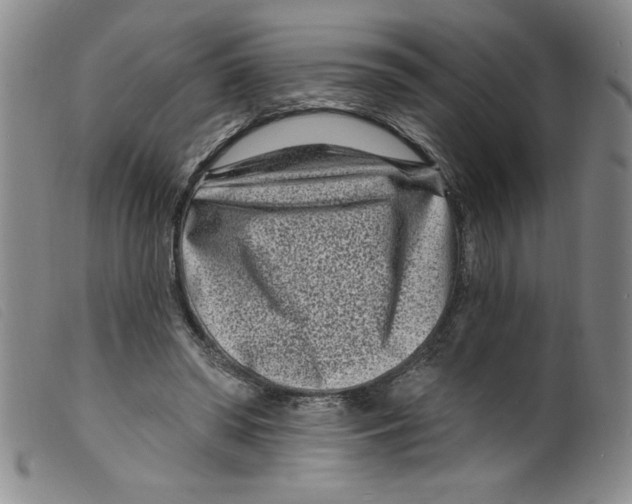 X0000098200398200805221546