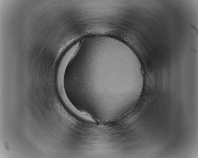 X0000098200399200805221546