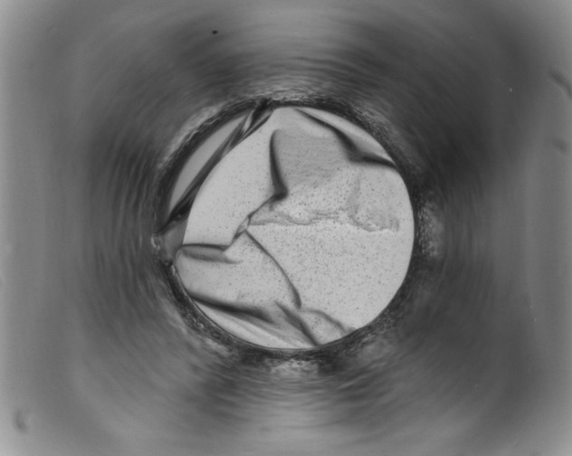 X0000098200400200805221546