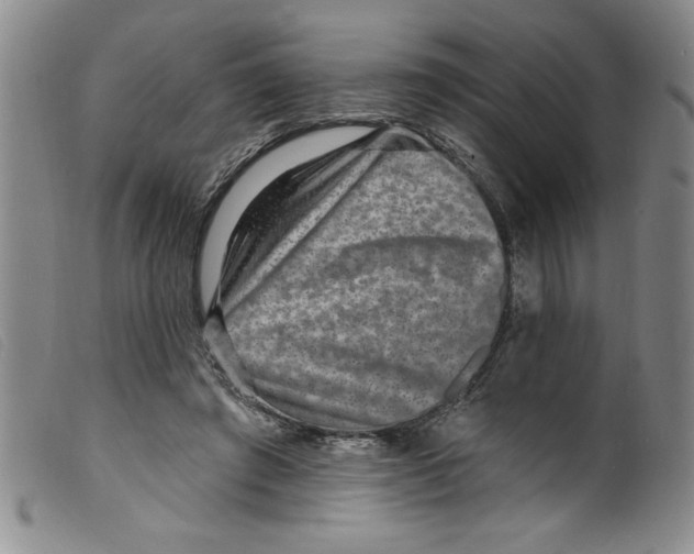 X0000098200401200805221546