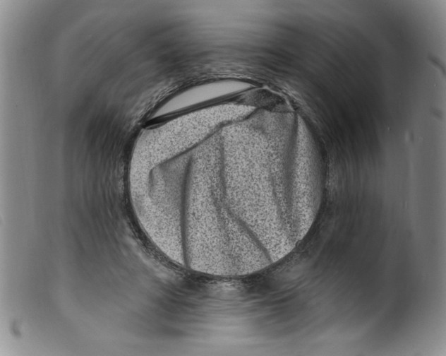 X0000098200402200805221546