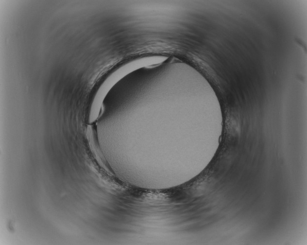 X0000098200403200805221546