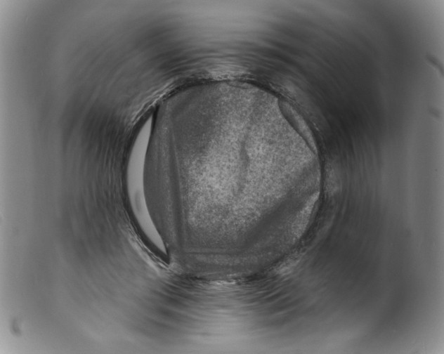 X0000098200405200805221546