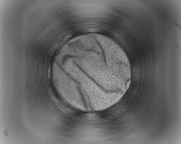 X0000098200406200805221546