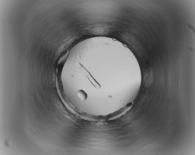 X0000098200407200805221546