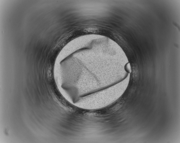 X0000098200408200805221546