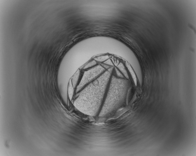 X0000098200409200805221546