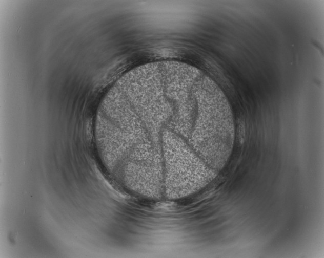 X0000098200410200805221546