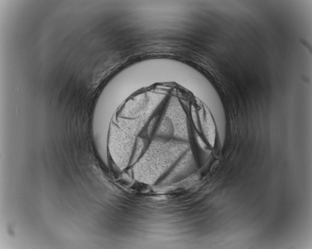 X0000098200411200805221546