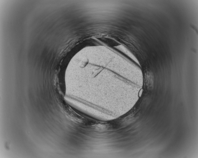X0000098200412200805221546