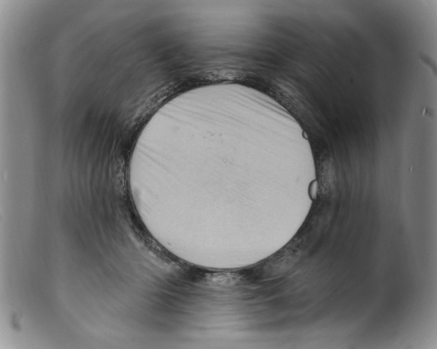 X0000098200414200805221546