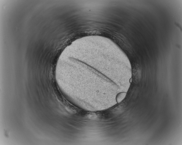 X0000098200416200805221546