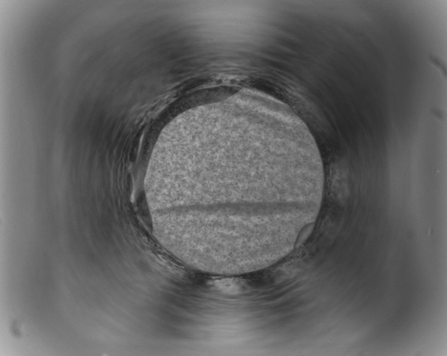 X0000098200417200805221546