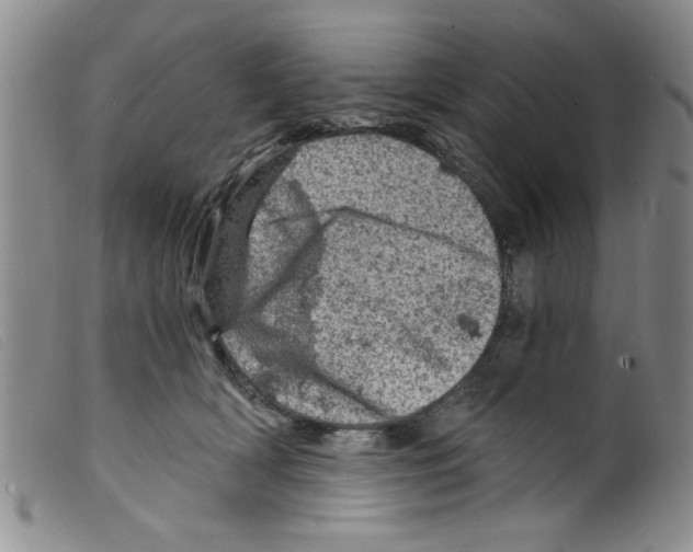X0000098200418200805221546