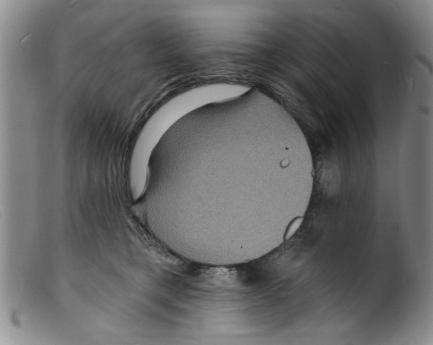 X0000098200421200805221546