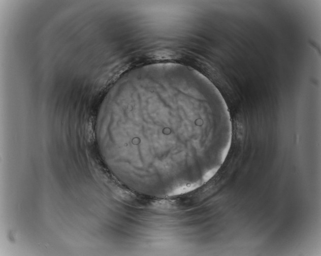 X0000098200422200805221546