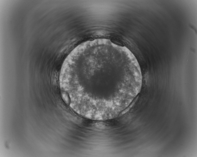 X0000098200423200805221546