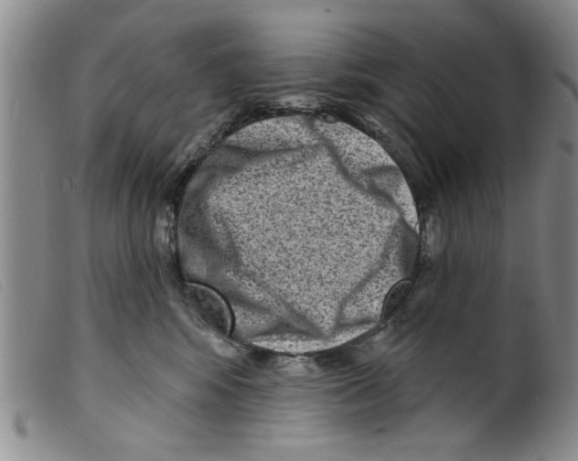 X0000098200424200805221546