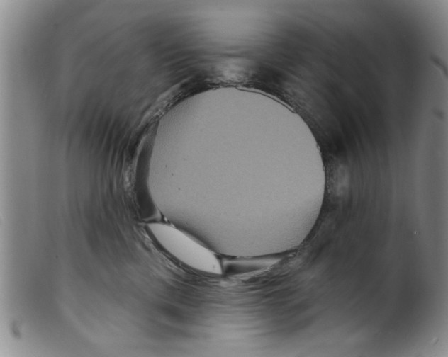 X0000098200425200805221546
