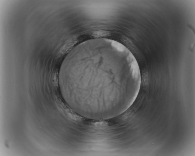 X0000098200426200805221546