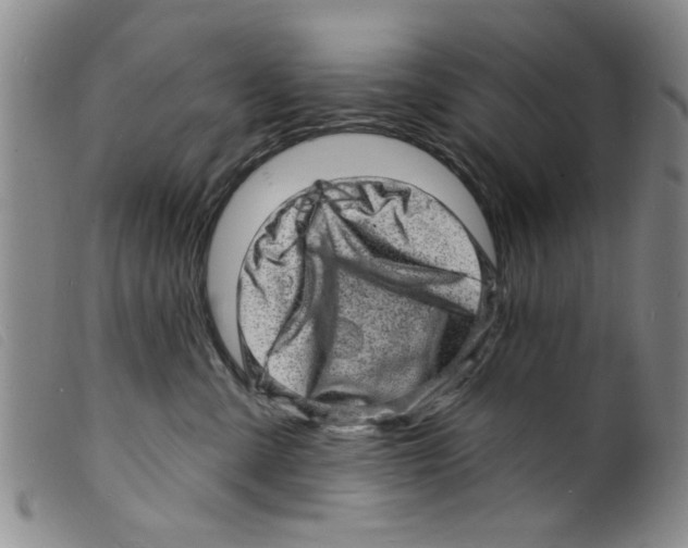 X0000098200427200805221546